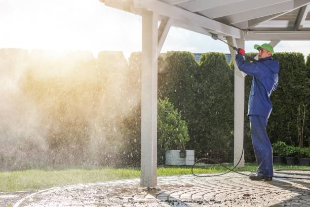 Best Patio and Deck Pressure Washing  in Westminster, CO